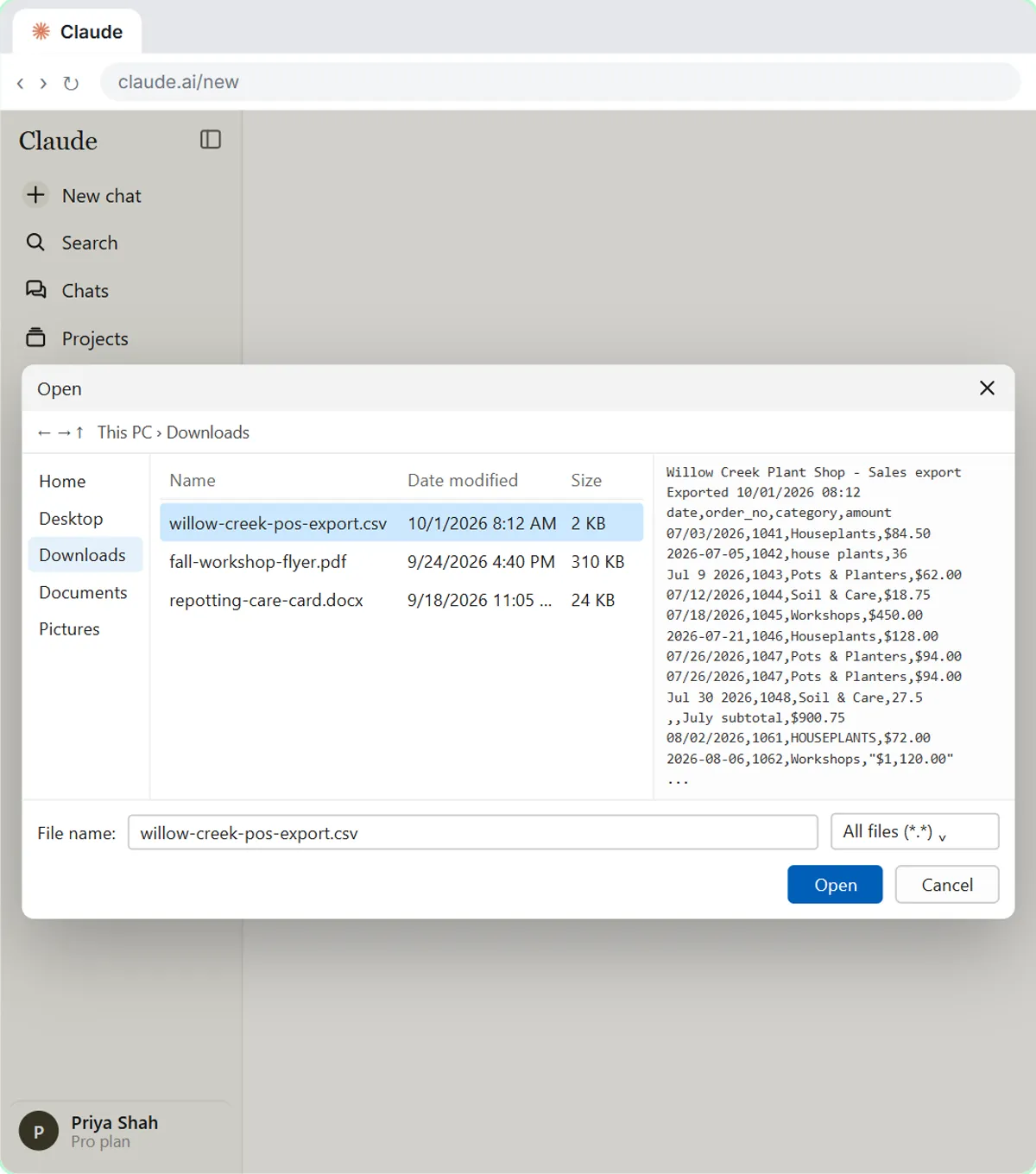 File picker uploading a messy point-of-sale CSV export to Claude, with a preview of the raw data