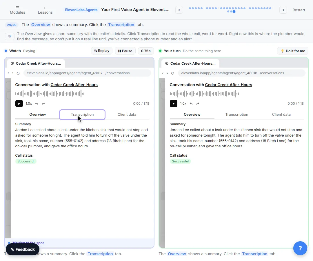 ElevenLabs conversation page with the call recording, a summary of the caller's leak and a successful status