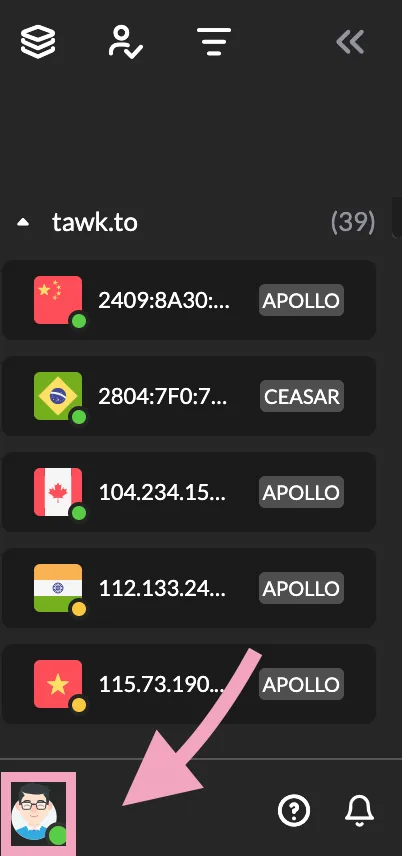 tawk.to dashboard with the profile image at the bottom left marked
